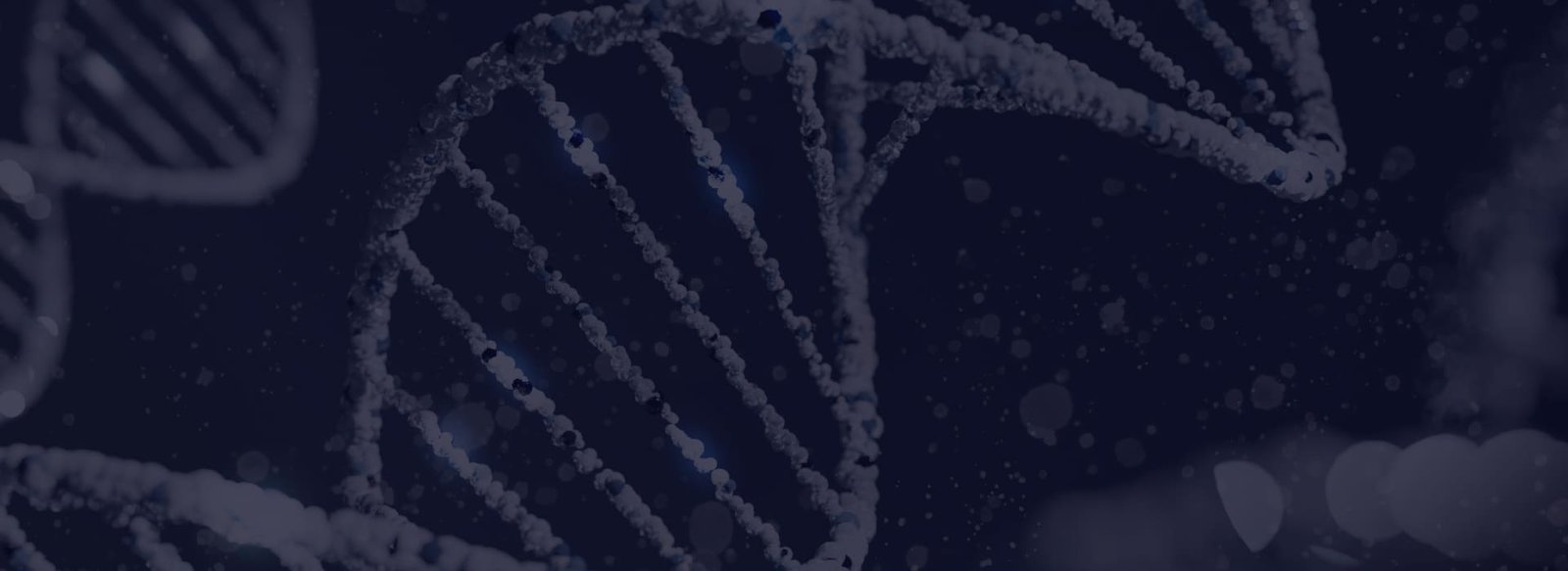 Imagem de fundo com representação visual do DNA