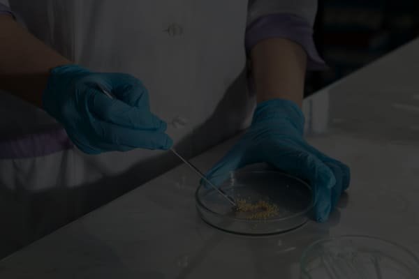 Consultoria Científica e Otimização de Processos